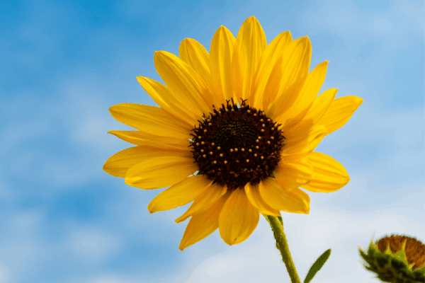 🌙 Ich darf mich selbst wählen – auch wenn Perfektion früher sicherer war